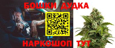 гидропоника Гусиноозёрск
